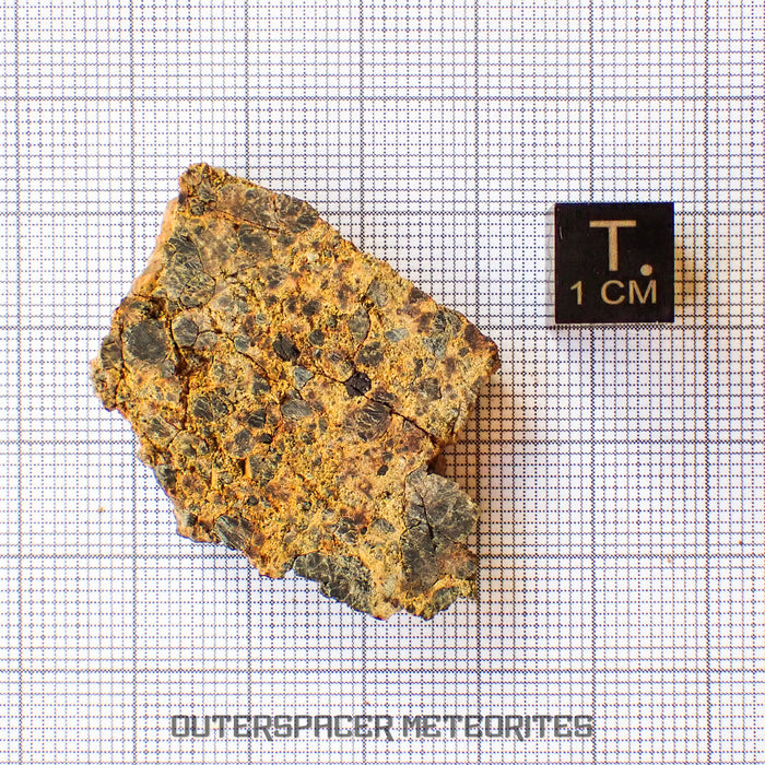 NWA 14056 - Diogenite - Partial Slice - 11.31g - Mali
