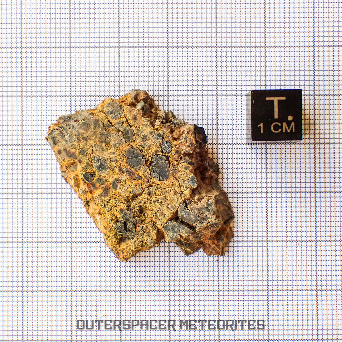 NWA 14056 - Diogenite - Partial Slice - 11.31g - Mali