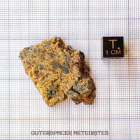 NWA 14056 - Diogenite - Partial Slice - 11.31g - Mali