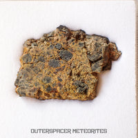 NWA 14056 - Diogenite - Partial Slice - 11.31g - Mali