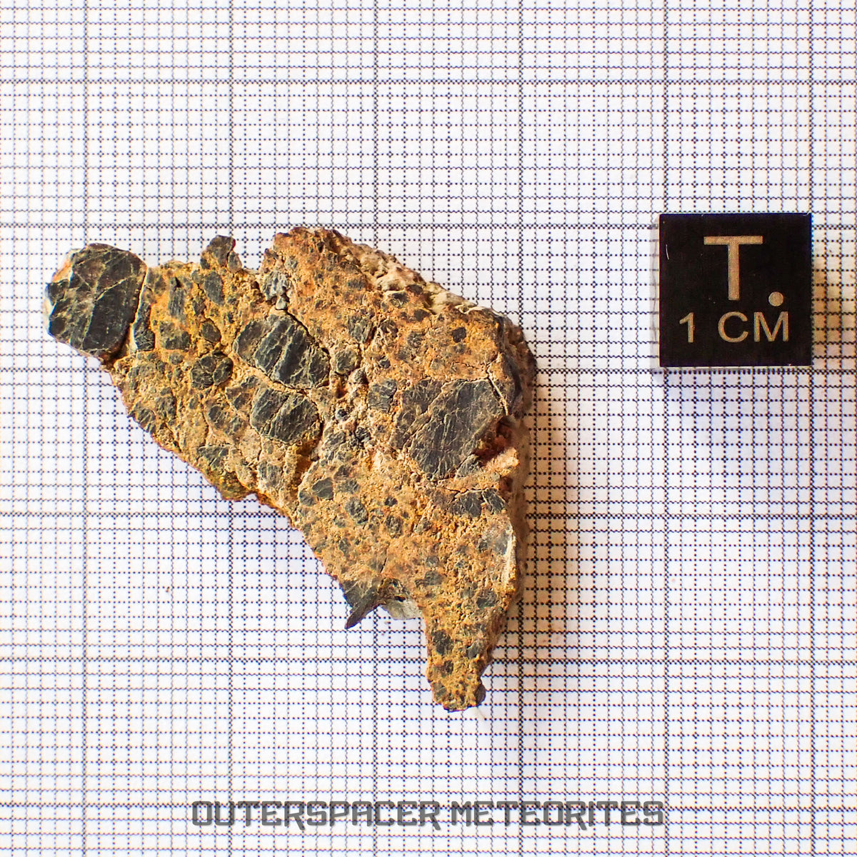 NWA 14056 - Diogenita - Rebanada parcial - 8.25g - Mali