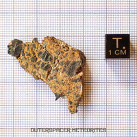 NWA 14056 - Diogenita - Rebanada parcial - 8.25g - Mali