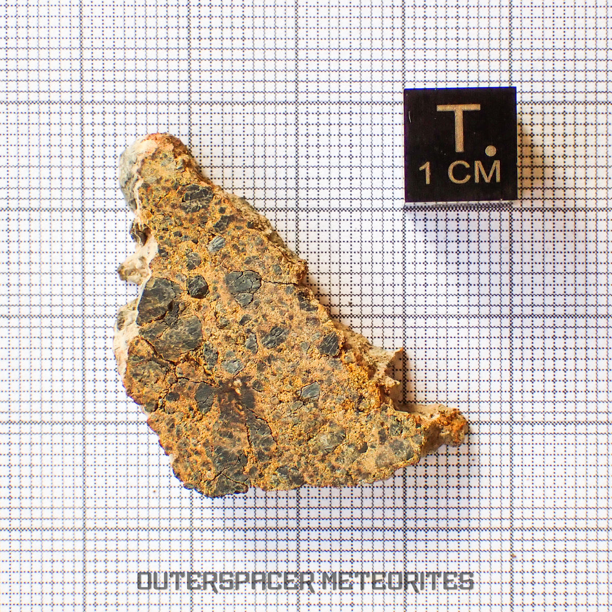 NWA 14056 - Diogenita - Rebanada parcial - 8.25g - Mali