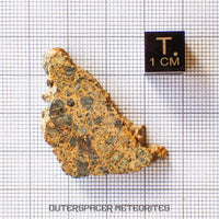 NWA 14056 - Diogenita - Rebanada parcial - 8.25g - Mali