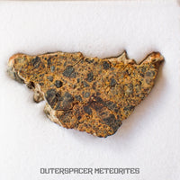 NWA 14056 - Diogenita - Rebanada parcial - 8.25g - Mali