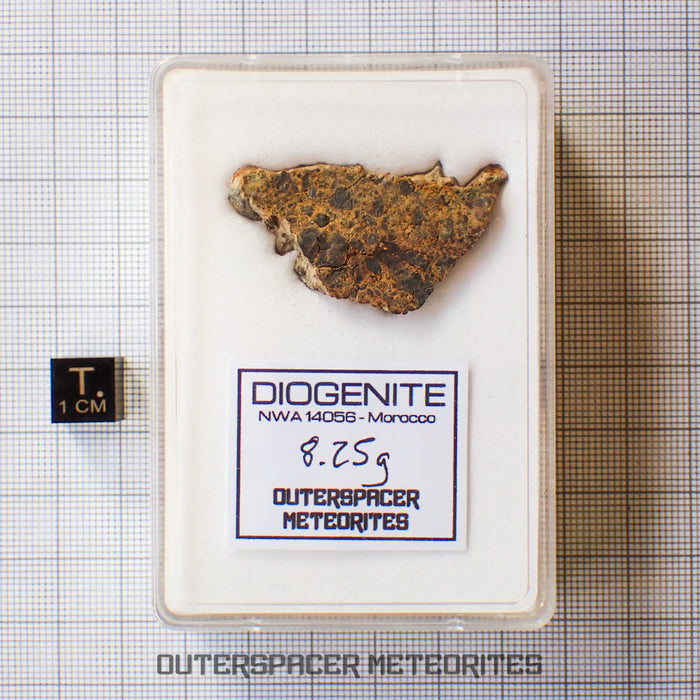NWA 14056 - Diogenite - Partial Slice - 8.25g - Mali
