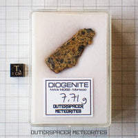 NWA 14056 - Diogénite - Tranche partielle - 7.71g - Mali