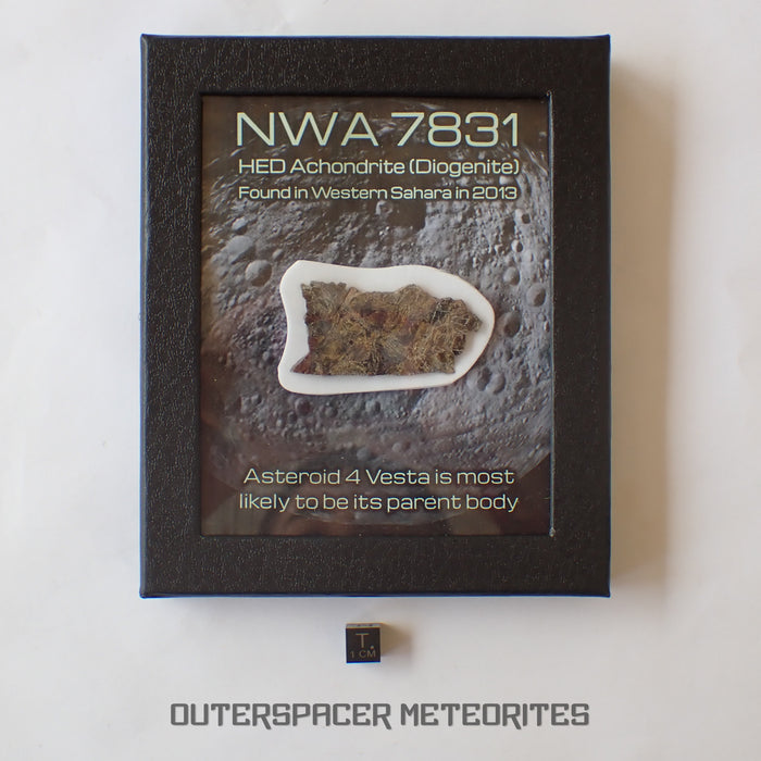NWA 7831 - Diogenite - End Cut - 11.01g - Mali