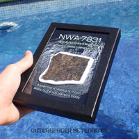 NWA 7831 - Diogenite - Partial Slice - 43.82g - Mali