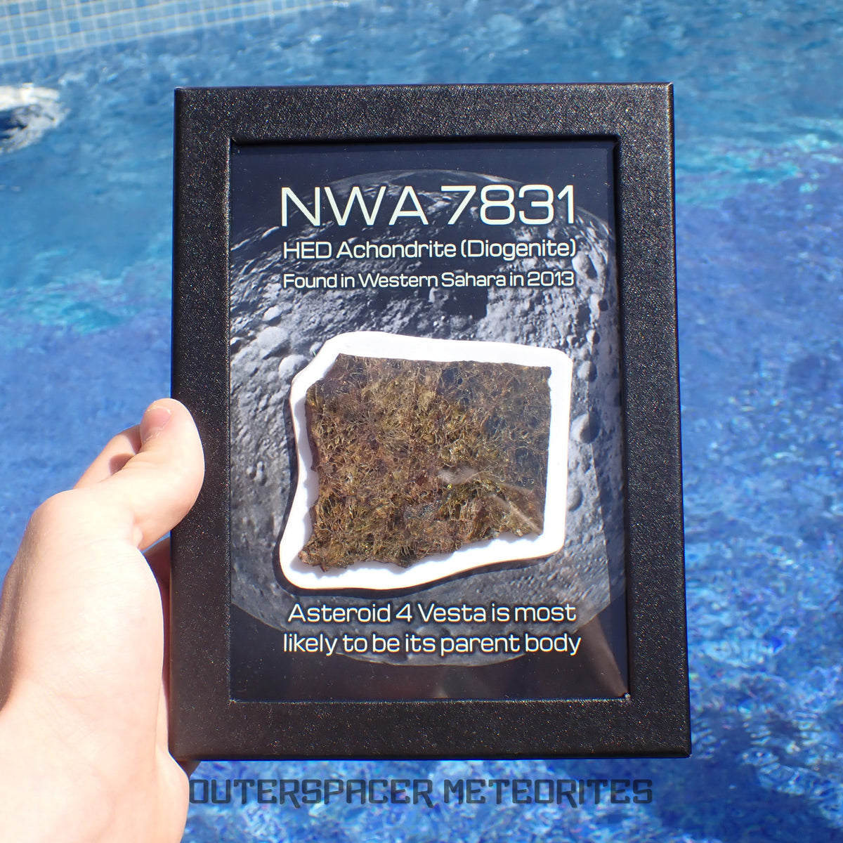 NWA 7831 - Diogenite - Partial Slice - 43.82g - Mali