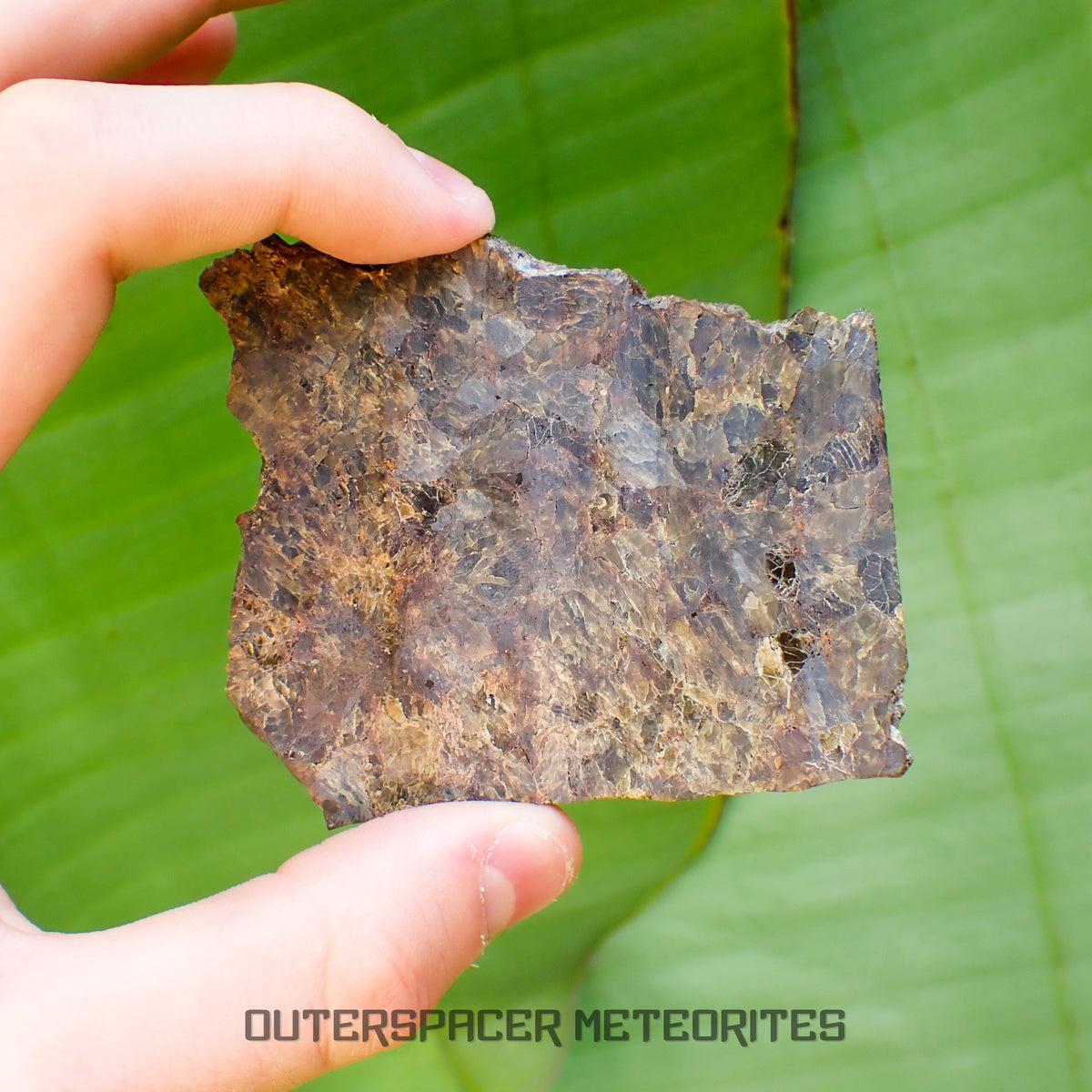 NWA 7831 - Diogenite - Partial Slice - 43.82g - Mali