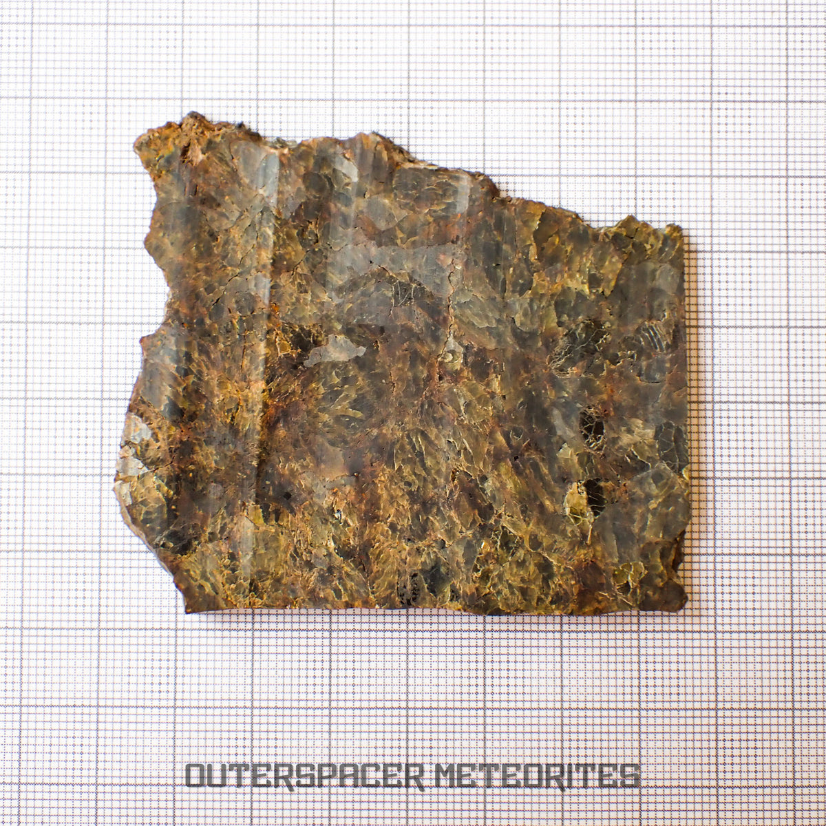 NWA 7831 - Diogenite - Partial Slice - 43.82g - Mali