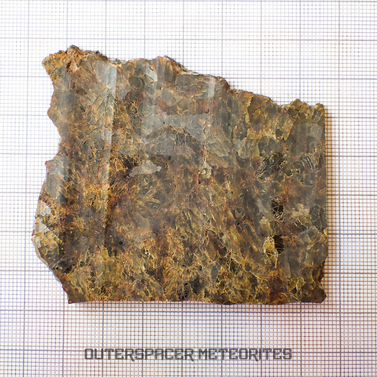 NWA 7831 - Diogenite - Partial Slice - 43.82g - Mali