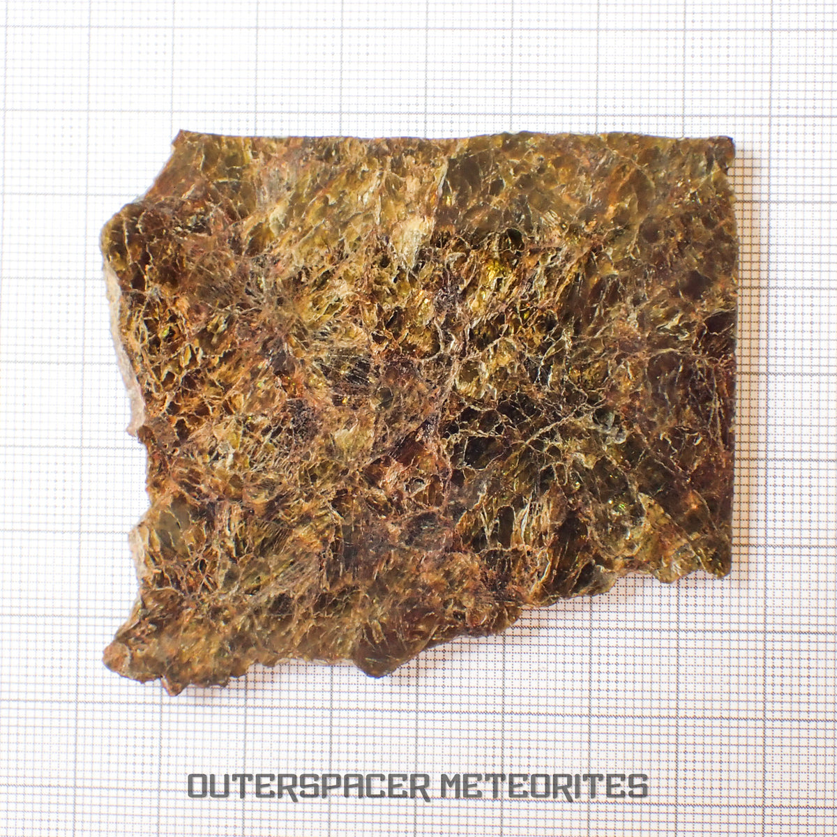 NWA 7831 - Diogenite - Partial Slice - 43.82g - Mali