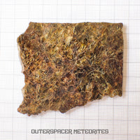 NWA 7831 - Diogenite - Partial Slice - 43.82g - Mali