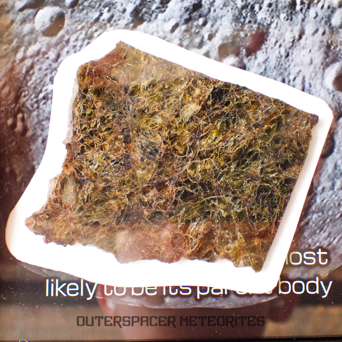 NWA 7831 - Diogenite - Partial Slice - 43.82g - Mali