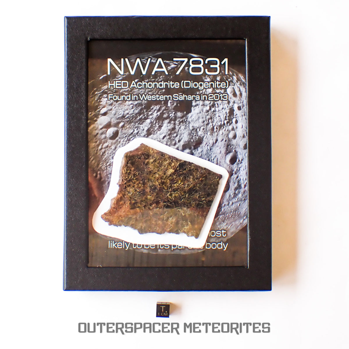 NWA 7831 - Diogenite - Partial Slice - 43.82g - Mali