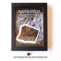 NWA 7831 - Diogenite - Partial Slice - 43.82g - Mali