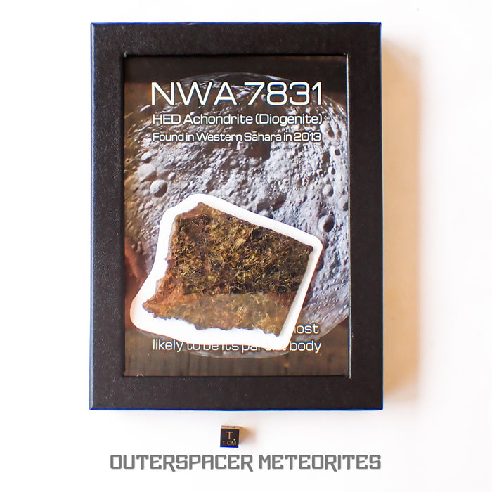 NWA 7831 - Diogenite - Partial Slice - 43.82g - Mali