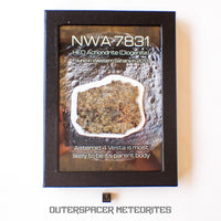 NWA 7831 - Diogénite - Tranche partielle - 31,39g - Mali