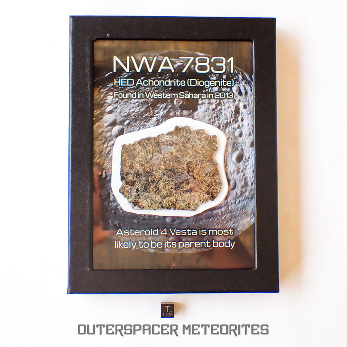 NWA 7831 - Diogenite - Partial Slice - 31.39g - Mali