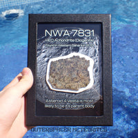 NWA 7831 - Diogénite - Tranche partielle - 31,39g - Mali