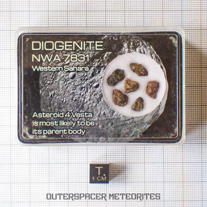 NWA 7831 - Diogenite - Fragments - 2g - Mali