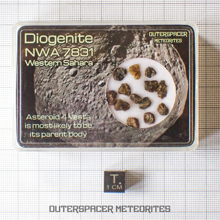 NWA 7831 - Diogenite - Fragments - 2g - Mali