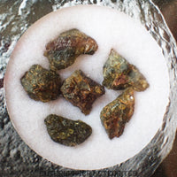 NWA 7831 - Diogenite - Fragments - 2g - Mali