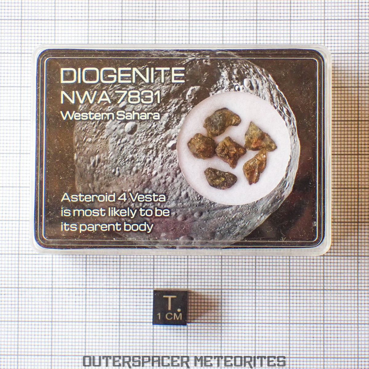NWA 7831 - Diogenite - Fragments - 2g - Mali