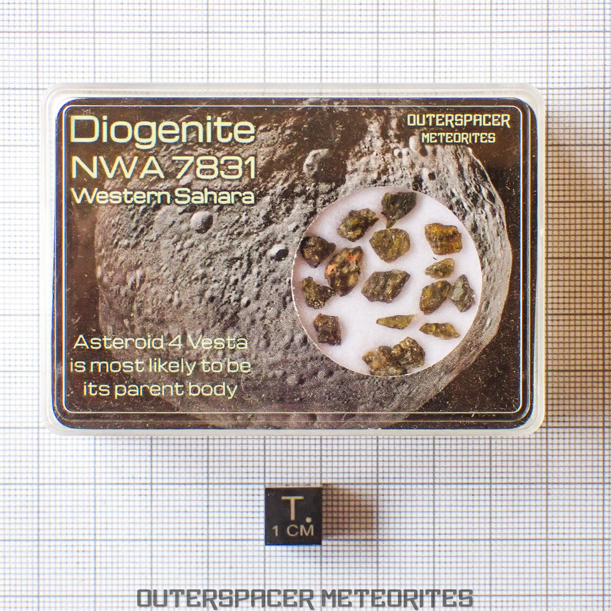 NWA 7831 - Diogenite - Fragments - 2g - Mali
