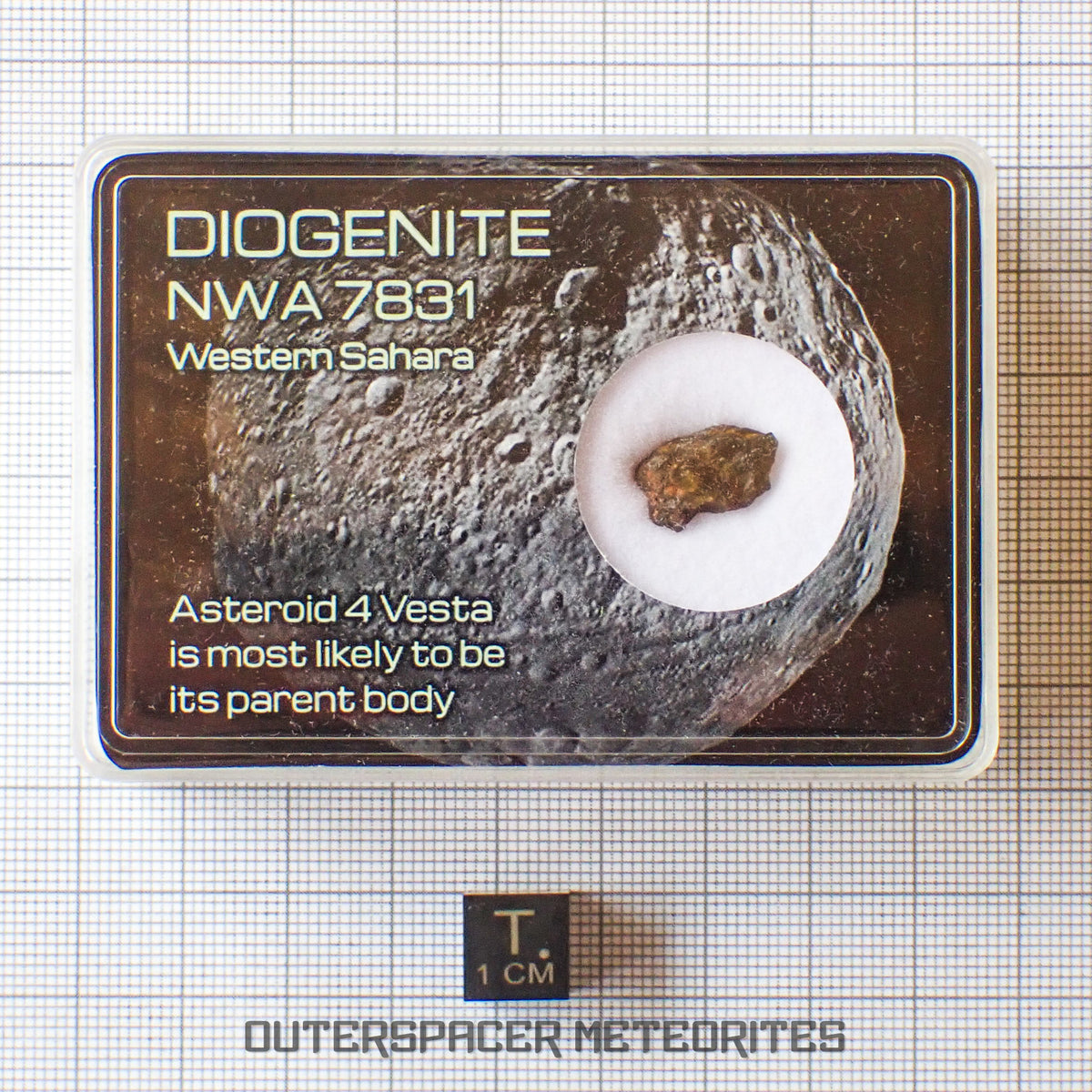 NWA 7831 - Diogenite - Fragment - 0.86g - Mali