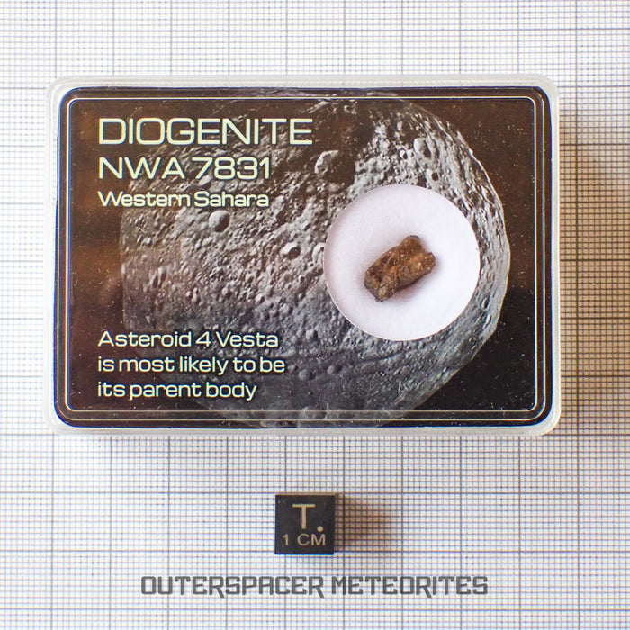 NWA 7831 - Diogenite - Fragment - 0.92g - Mali