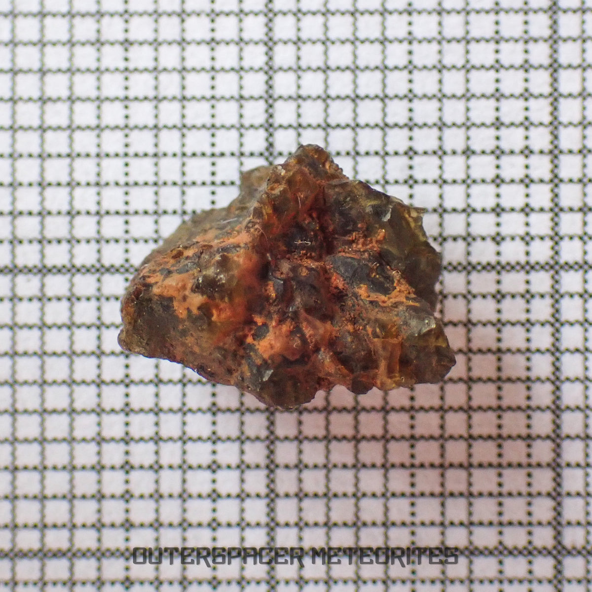 NWA 7831 - Diogenite - Fragment - 0.82g - Mali
