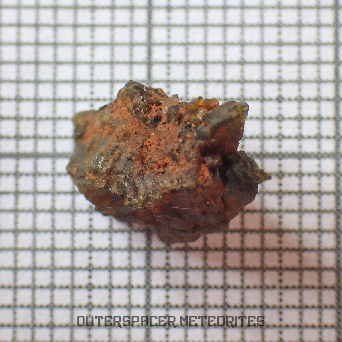 NWA 7831 - Diogenite - Fragment - 0.82g - Mali
