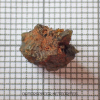 NWA 7831 - Diogenite - Fragment - 0.82g - Mali