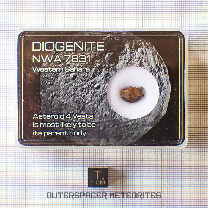 NWA 7831 - Diogenite - Fragment - 0.81g - Mali