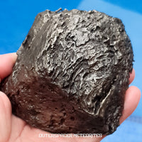 Dronino - Iron, Ungrouped (Ataxite) - Complete Individual - 1551g - Russia (Ryazan)