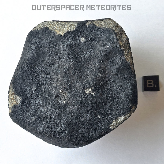 El Menia - L5 Ordinary Chondrite - Complete Individual - 513g - Algeria