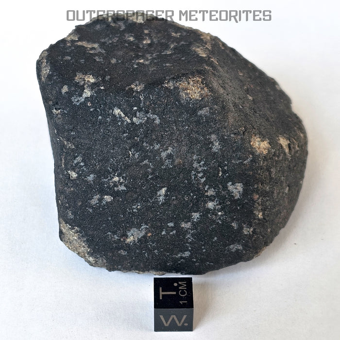 El Menia - L5 Ordinary Chondrite - Complete Individual - 513g - Algeria