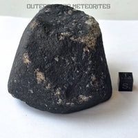 El Menia - Condrita Ordinaria L5 - Individuo Completo - 513g - Argelia