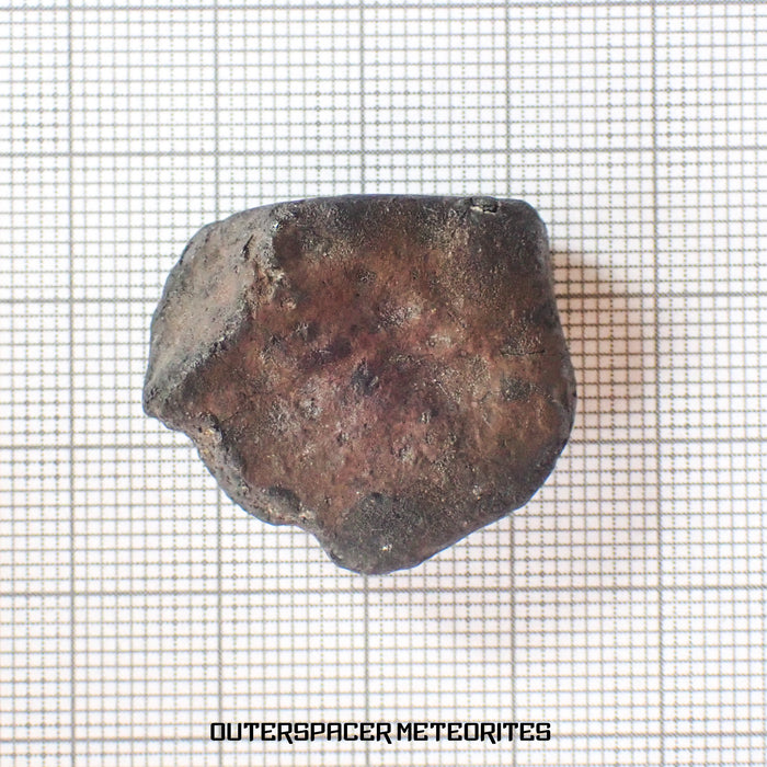 El Menia - L5 Ordinary Chondrite - Complete Individual - 16.26 g - Algeria