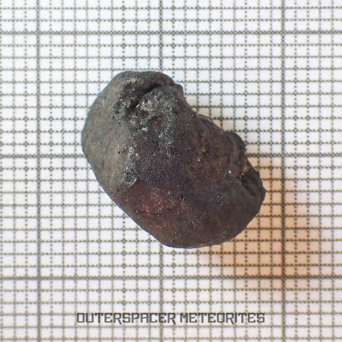 El Menia - L5 Ordinary Chondrite - Complete Individual - 2.68 g - Algeria