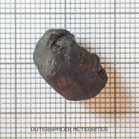 El Menia - L5 Ordinary Chondrite - Complete Individual - 2.68 g - Algeria
