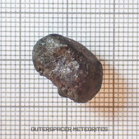 El Menia - L5 Ordinary Chondrite - Complete Individual - 2.68 g - Algeria