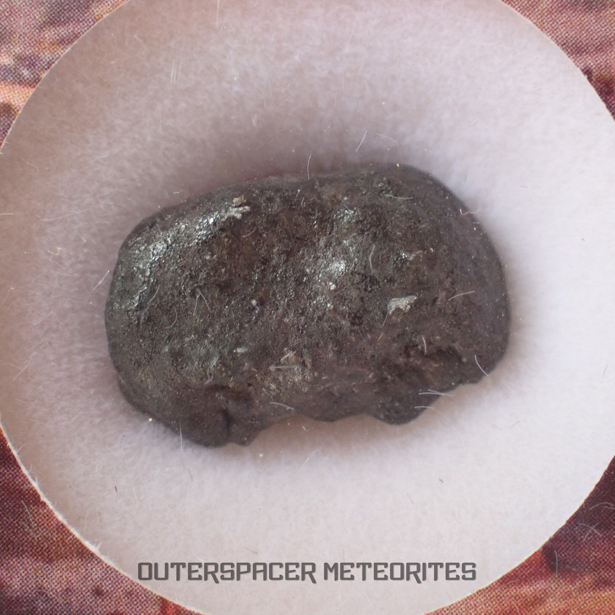El Menia - L5 Ordinary Chondrite - Complete Individual - 2.68 g - Algeria