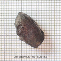 El Menia - Condrita Ordinaria L5 - Individuo Completo - 5.6 g - Argelia