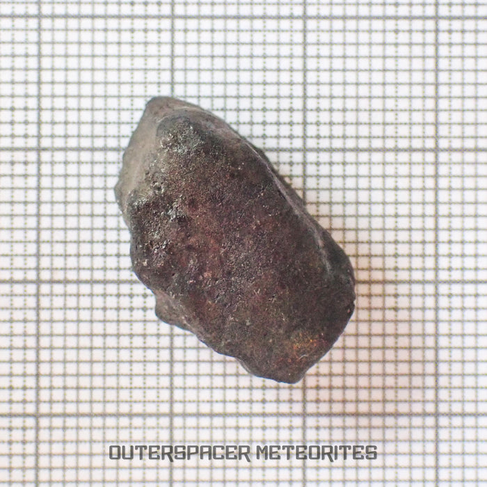 El Menia - L5 Ordinary Chondrite - Complete Individual - 5.6 g - Algeria