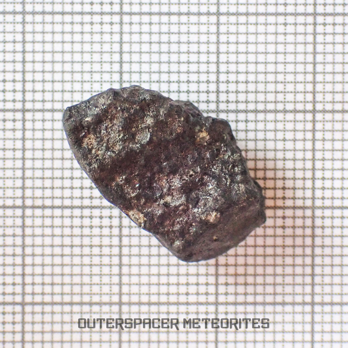El Menia - Condrita Ordinaria L5 - Individuo Completo - 5.6 g - Argelia