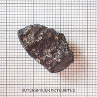 El Menia - Condrita Ordinaria L5 - Individuo Completo - 5.6 g - Argelia